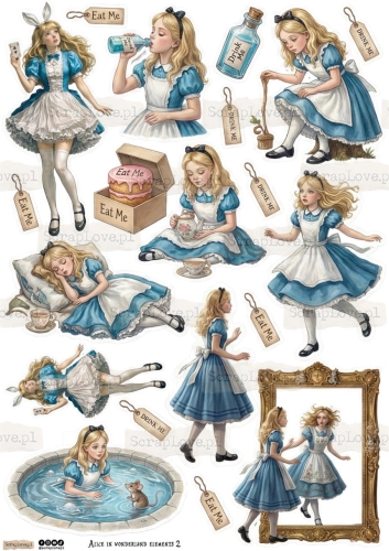 alice in wonderland elements 2-1 Duży.jpeg