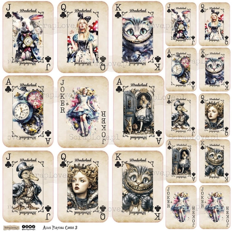 ALICE cards 3-1 Duży.jpeg