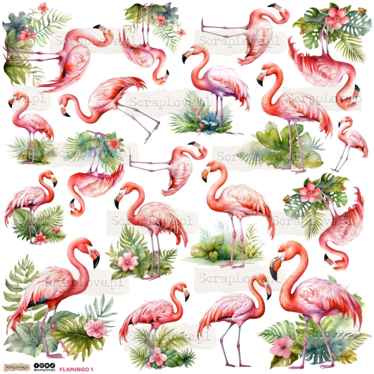 flamingo 1p Duży.jpeg