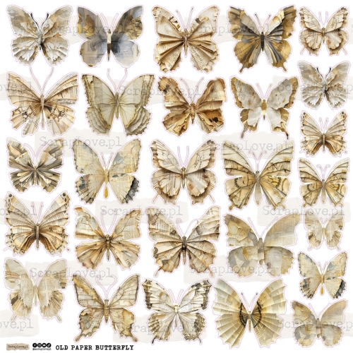 old paper butterfly 1.jpg