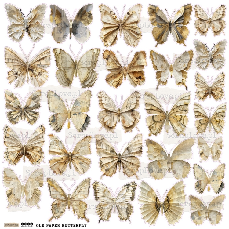 old paper butterfly 1.jpg