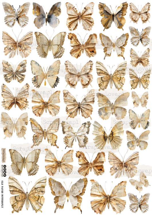 od paper butterfly 1-1.jpg