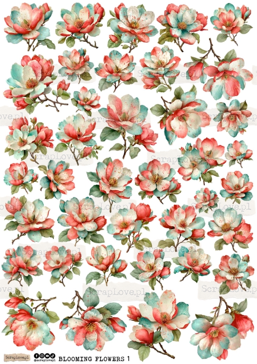 blooming flowers 1-1.jpg