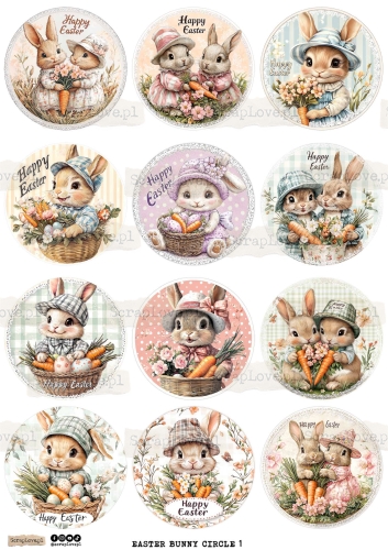 easter bunny circle 1-1.jpg