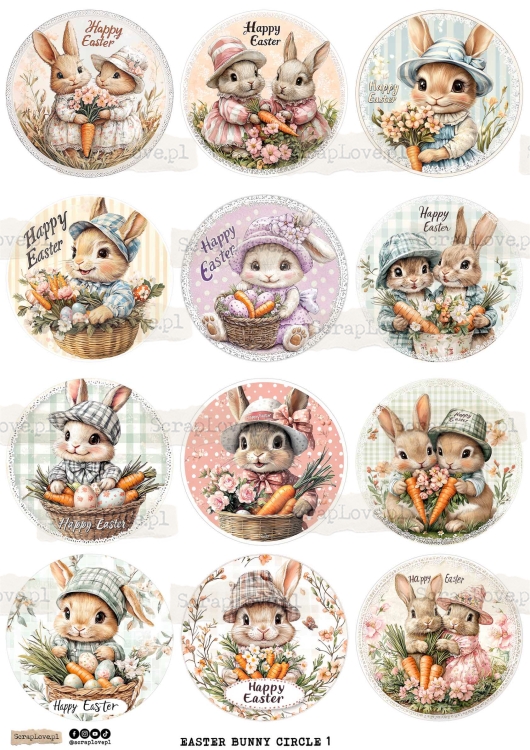easter bunny circle 1-1.jpg