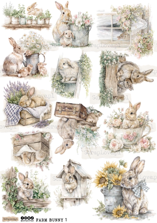 farm bunny 1-1.jpg