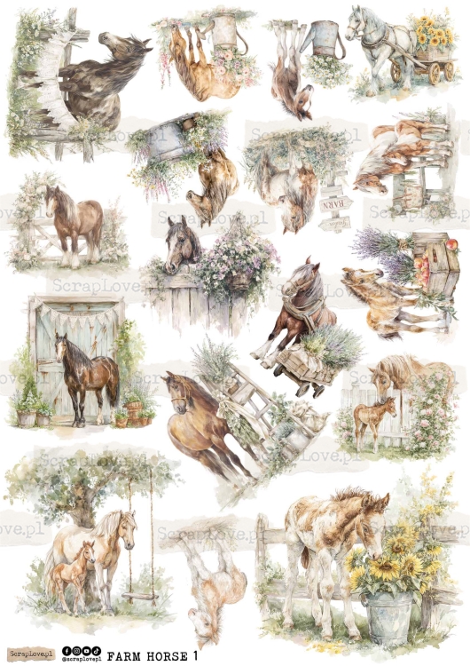 farm horse 1-1.jpg