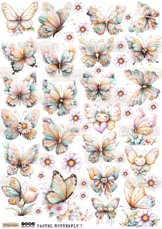 pastel butterfly 1-1.jpg