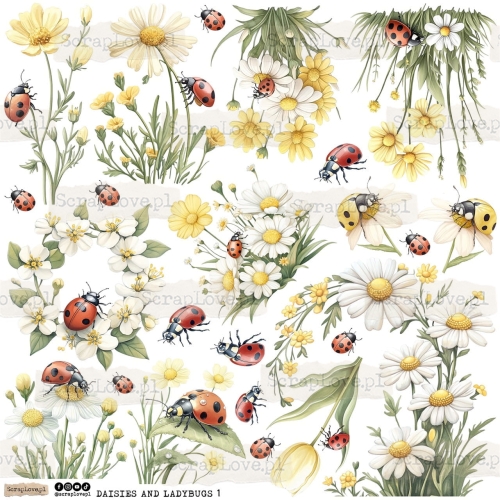 daisies and ladybugs 1p Duży.jpeg