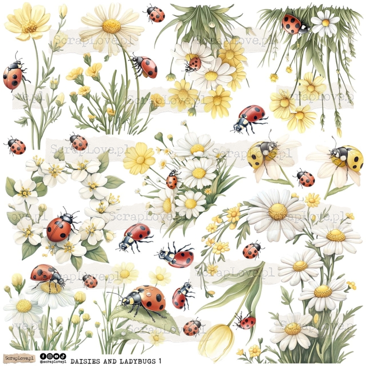 daisies and ladybugs 1p Duży.jpeg