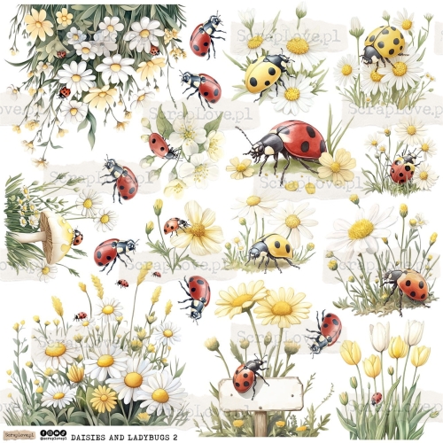 daisies and ladybugs 2p Duży.jpeg