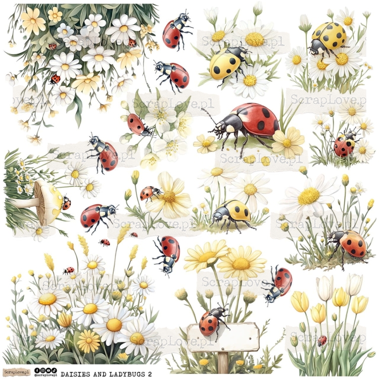 daisies and ladybugs 2p Duży.jpeg