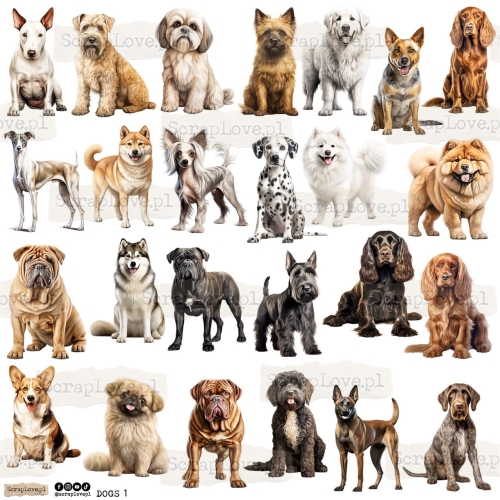 dogs 1p Duży.jpeg