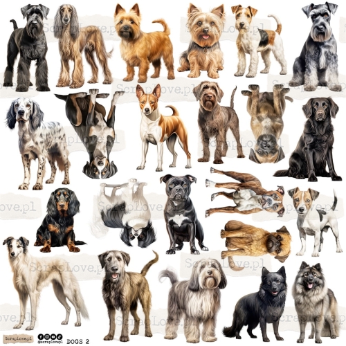 dogs 2p Duży.jpeg