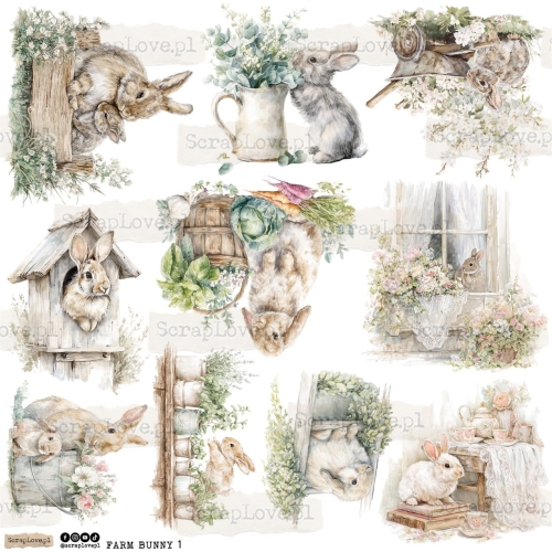 farm bunny 1p Duży.jpeg