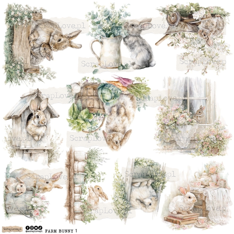 farm bunny 1p Duży.jpeg