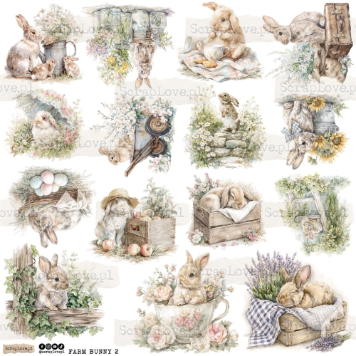 farm bunny 2p Duży.jpeg