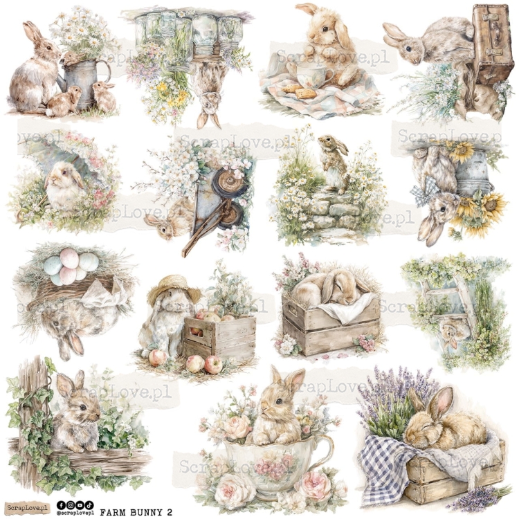 farm bunny 2p Duży.jpeg