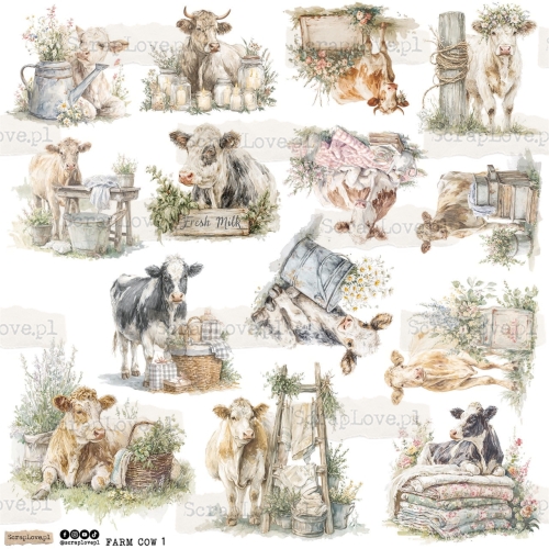 farm cow 1p Duży.jpeg