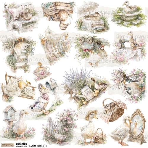 farm duck 1p Duży.jpeg