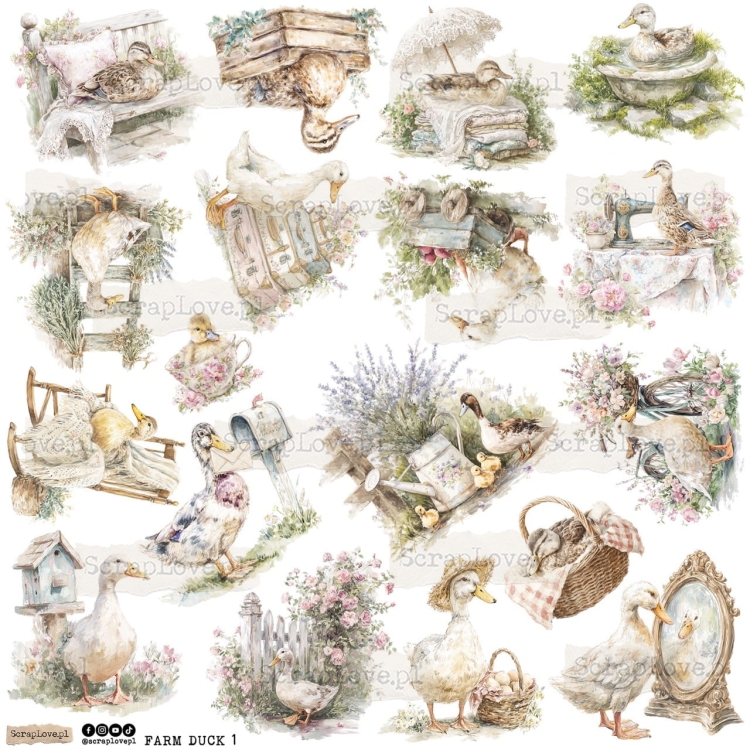 farm duck 1p Duży.jpeg