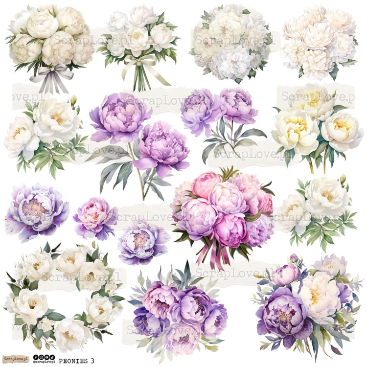 peonies 3p Duży.jpeg