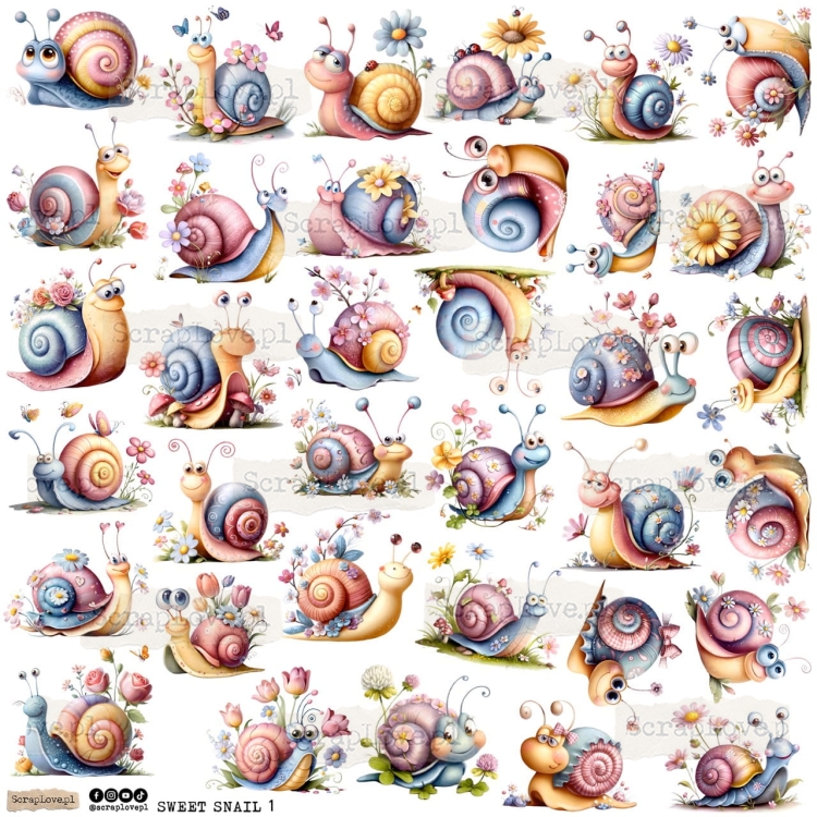 sweet snail 1p Duży.jpeg