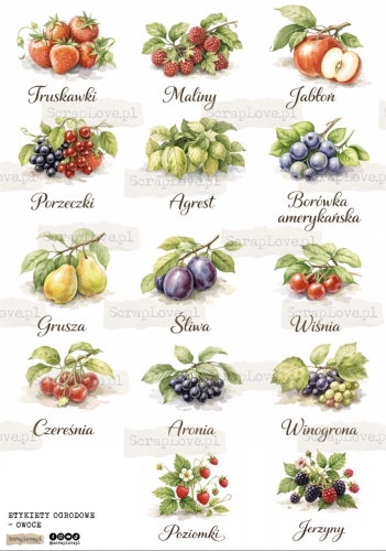 etykiety owoce.jpeg