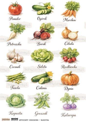 etykiety ogrodowe - warzywa-1.jpg