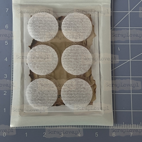 IMG_6394 Duży.jpeg