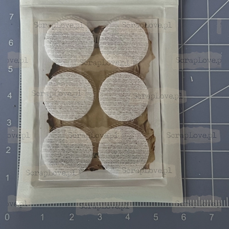 IMG_6394 Duży.jpeg