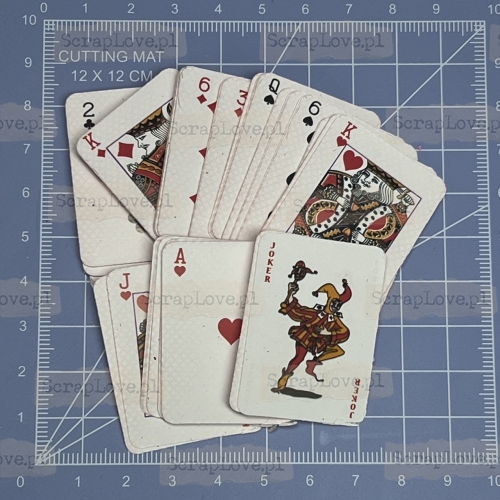 IMG_6390 Duży.jpeg