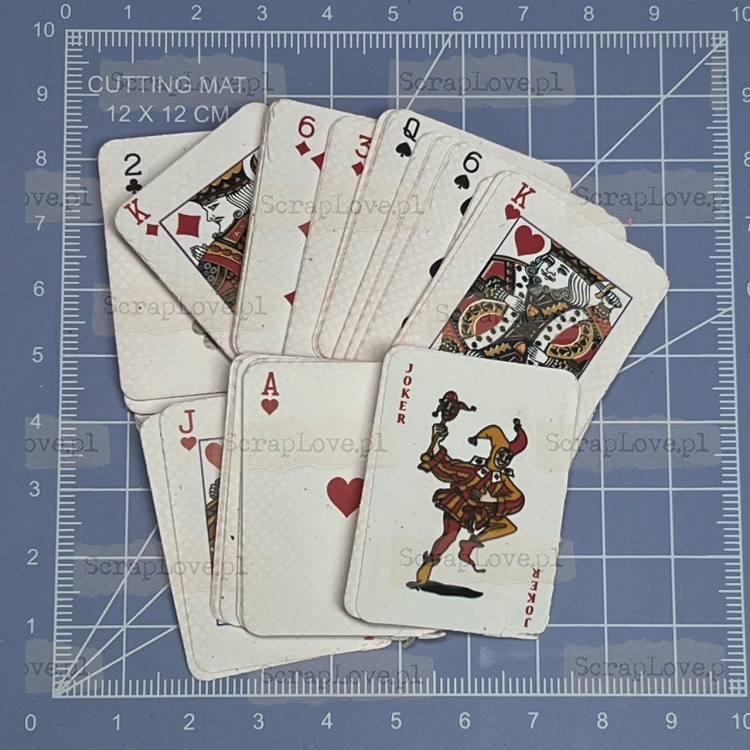 IMG_6390 Duży.jpeg