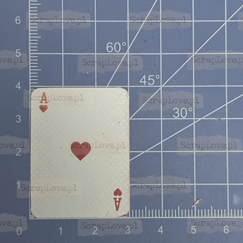 IMG_6391 Duży.jpeg