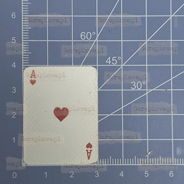 IMG_6391 Duży.jpeg