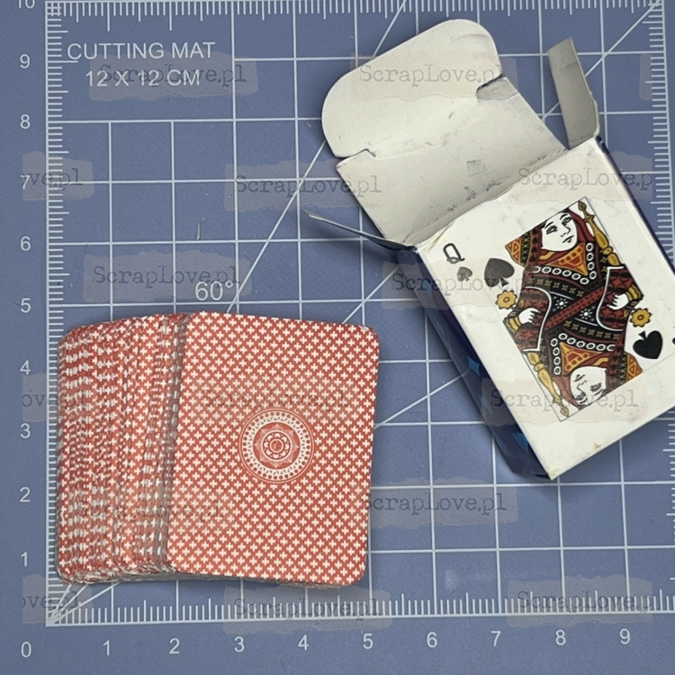 IMG_6392 Duży.jpeg