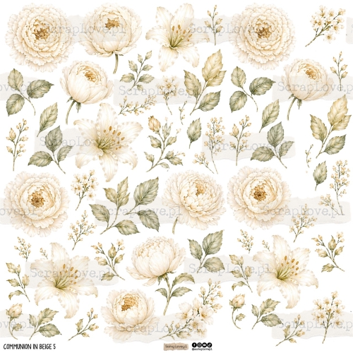 communion in beige 5p Duży.jpeg