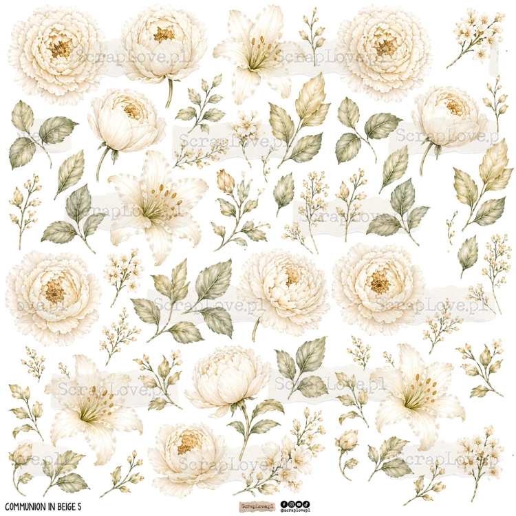 communion in beige 5p Duży.jpeg