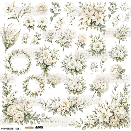 communion in beige 6p Duży.jpeg