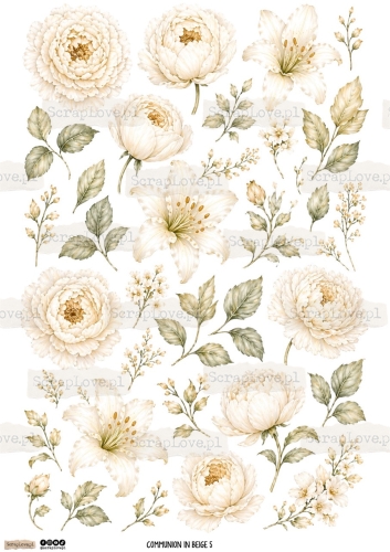 communion in beige 5pap-1 Duży.jpeg