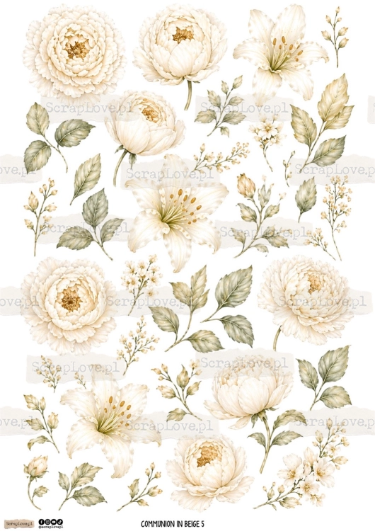 communion in beige 5pap-1 Duży.jpeg