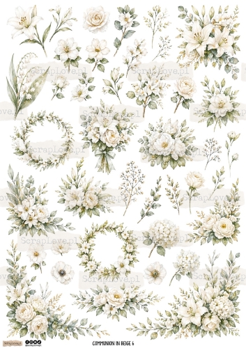 communion in beige 6pap-1 Duży.jpeg