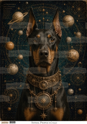 ASTRAL PEOPLE 11 | 6443-1 Duży.jpeg