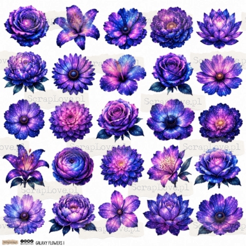 galaxy flowers 1p Średni.jpeg