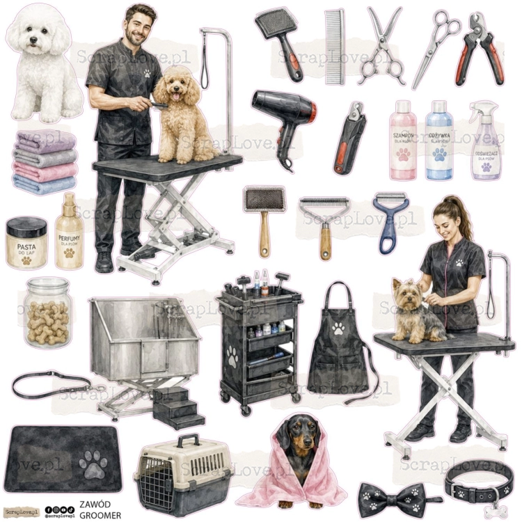 Z GROOMER.jpg