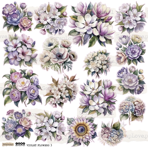 VIOLET FLOWERS 3.jpg