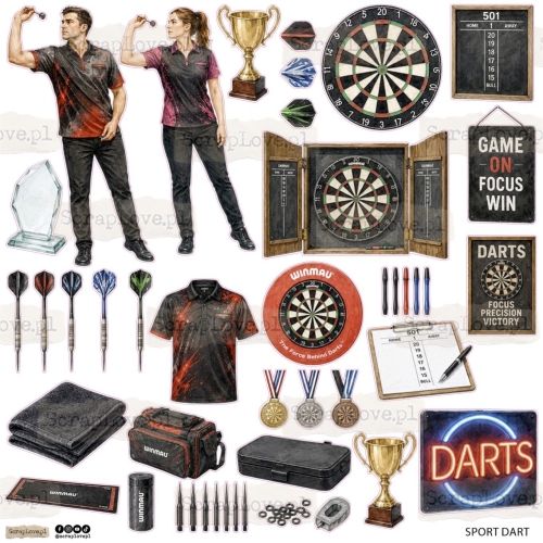 S DART.jpg