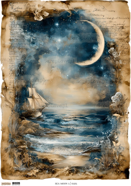 sea moon 1 2-4.jpg