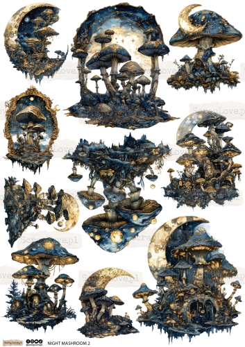 night mashroom 1 2-2.jpg