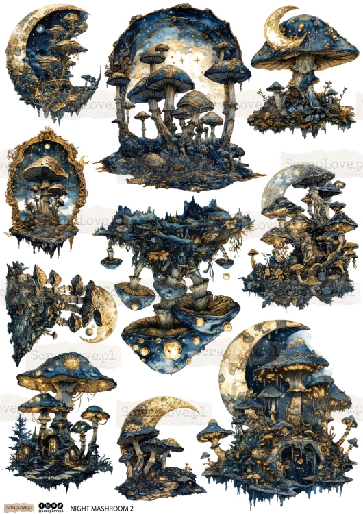night mashroom 1 2-2.jpg